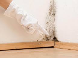 Best Black Mold Removal  in Avondale Estates, GA